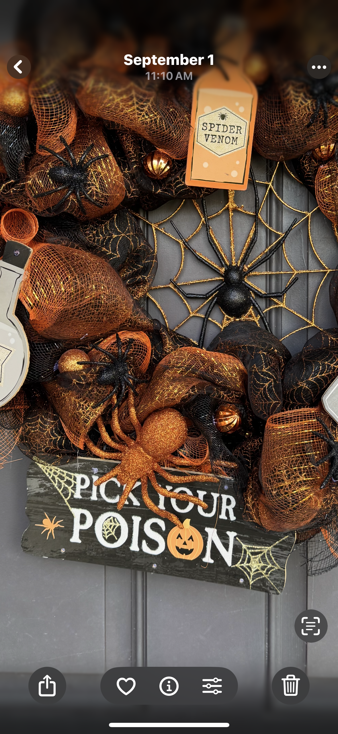 “Pick Your Poison Halloween Wreath – Spider Web & Potion Bottle Décor for Front Door”